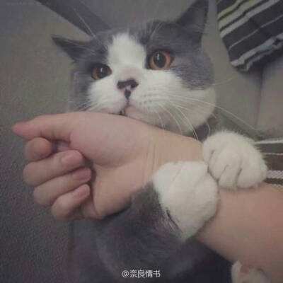 卡牌乱斗联盟游戏