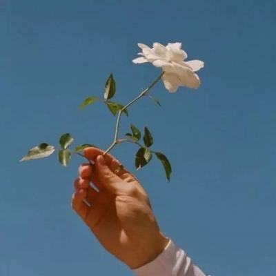 星聚公益服正式版手游下载